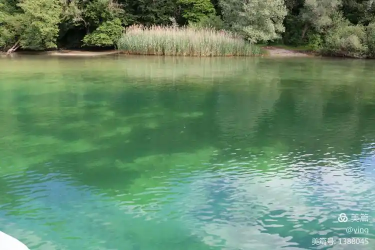 湖水清澈见底.
