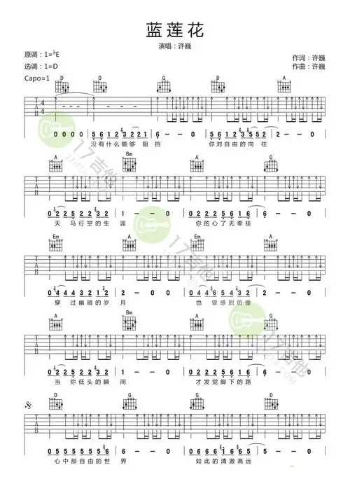 蓝莲花吉他谱d调指法版