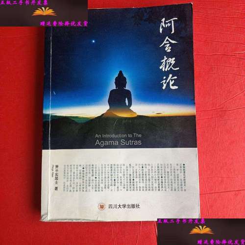【二手9成新】阿含概论 /萧平实居士 四川大学