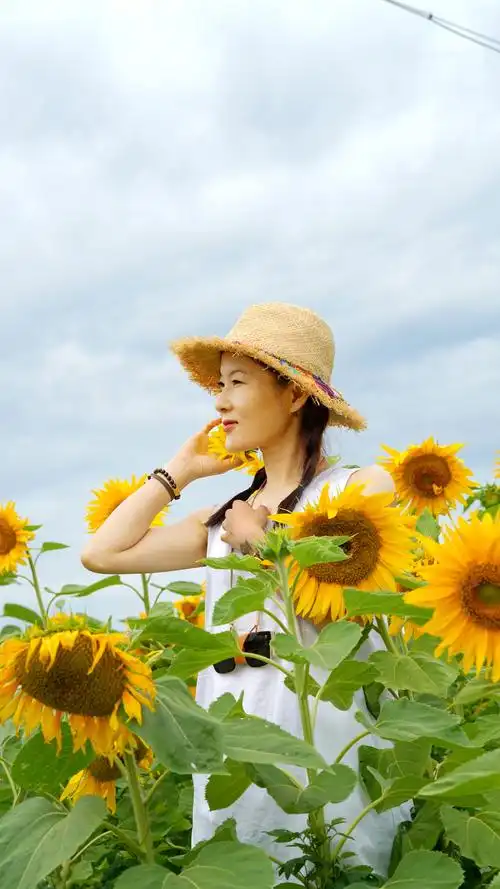 告诉自己今天又是一个新的开始,用阳光一样的微笑面对生活,做一个乐观