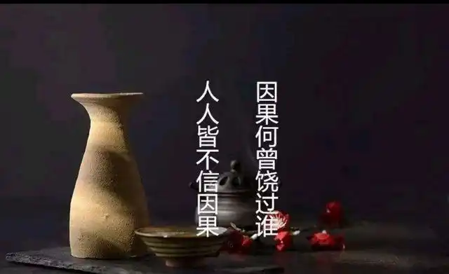 世间万物皆是因果种瓜得瓜种豆得豆看懂因果就能读懂人生