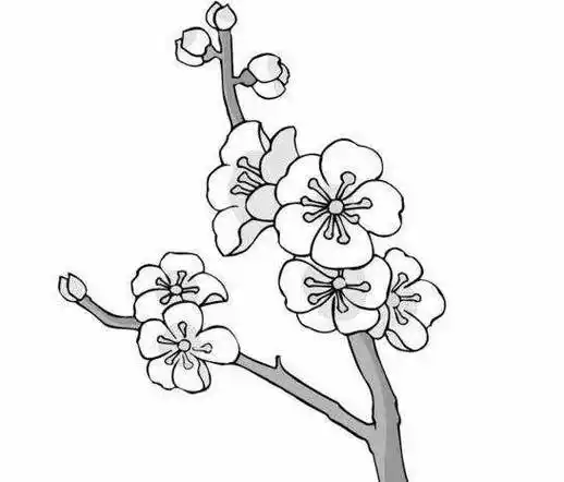 最新桃花的简笔画国画桃花的画法步骤