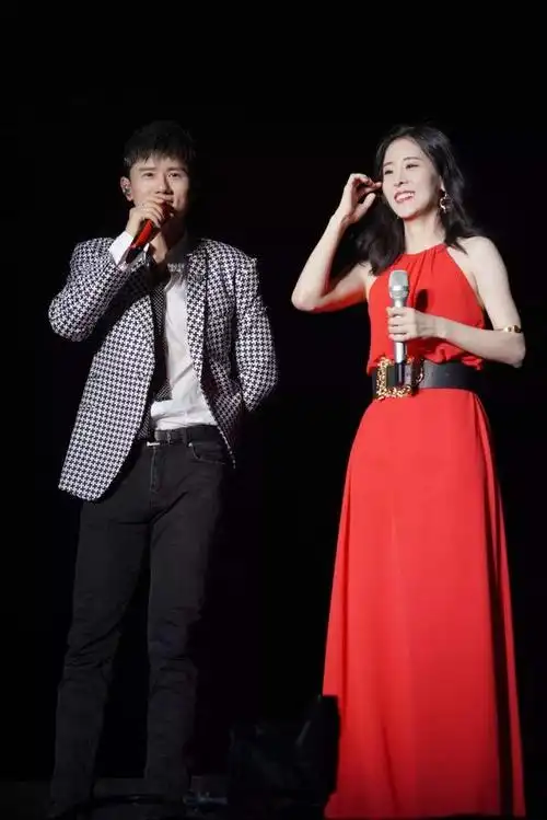 华晨宇张碧晨对与错(与华晨宇未婚生子)(22)