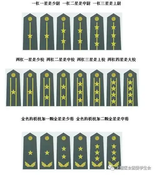 【医食·谈军论事】军衔肩章之雾里探花_手机搜狐网