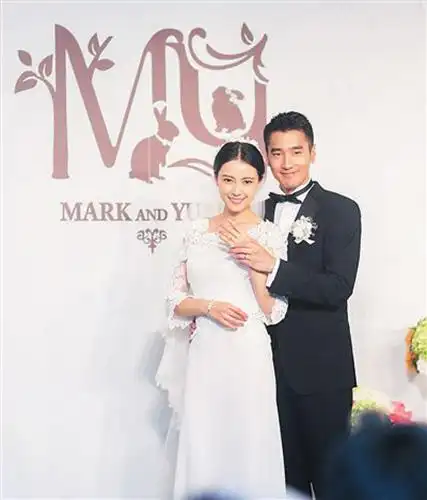 赵又廷,高圆圆	  更有媒体报导称两人闪婚是为了赵家希望已经34岁的