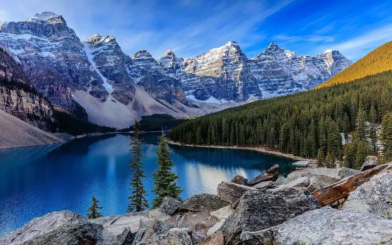 我是爱你的,你是自由的_一个人