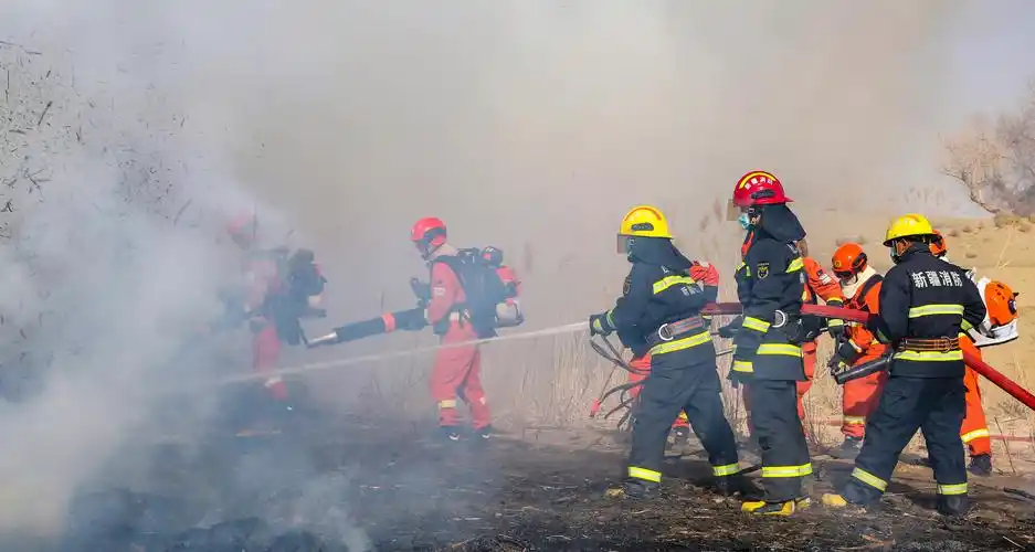 多支救援队伍共同扑打火线森林消防员扑打明火演练过程亮点频现,不仅