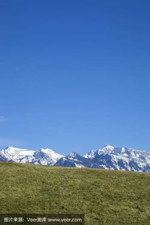 蓝天绿草雪山