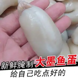 东海野生墨鱼蛋250g 大白蛋 个大乌贼蛋目鱼蛋新鲜腌制宁波特产