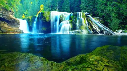 属相为鼠的人进入到戊戌狗年之后,可以说是福气上涨,财气上升,事业运