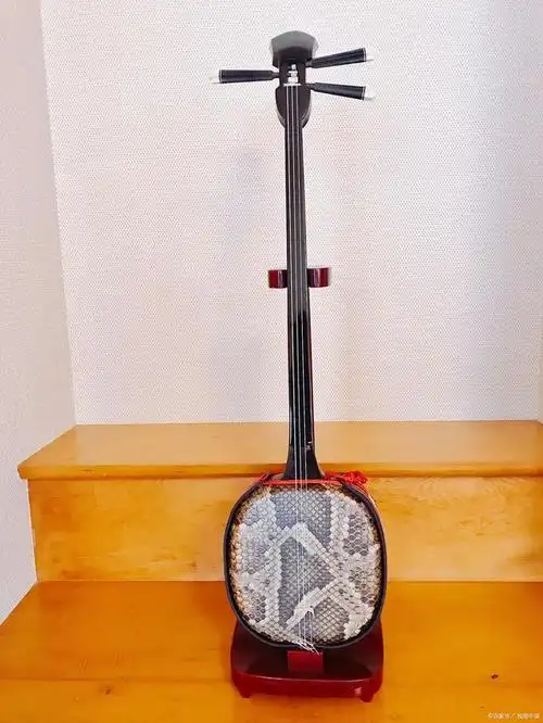 三弦是中国传统弹拨乐器,也叫三弦琴或三弦琵琶.