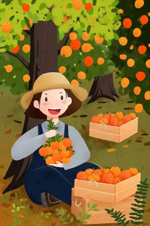 丰收季节立秋节气摘橘子的小女孩人物插画