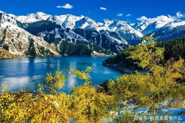 游览天山天池景区,天高云淡,风光旖旎,风景如画