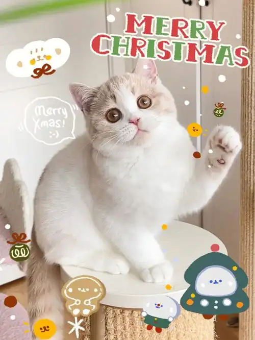 1080_1439竖版 竖屏