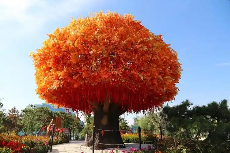 红彤彤的许愿树