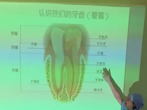 阿姨用动作和身体部位来解说牙齿的各个部位名称