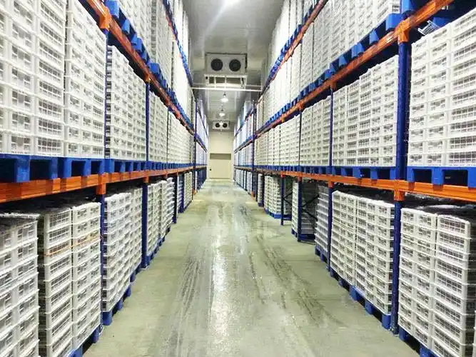 冷库专用货架与普通货架对比有哪些区别?