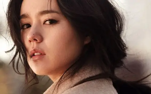 韩国美女明星韩佳人桌面壁纸