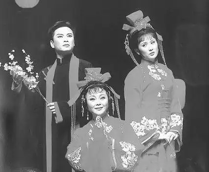 越剧演员赵志刚和孙智君有孩子吗