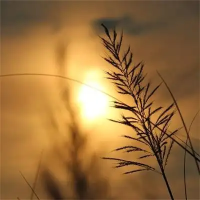 落日晚霞唯美夕阳高清图片大全 独看夕阳黄昏光影交融头像2022合_风景