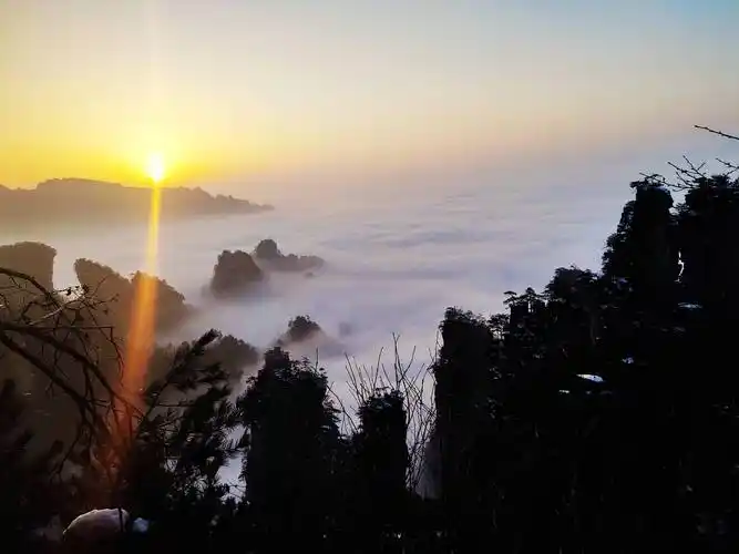 张家界天子山梦幻云海相约浪漫情人节