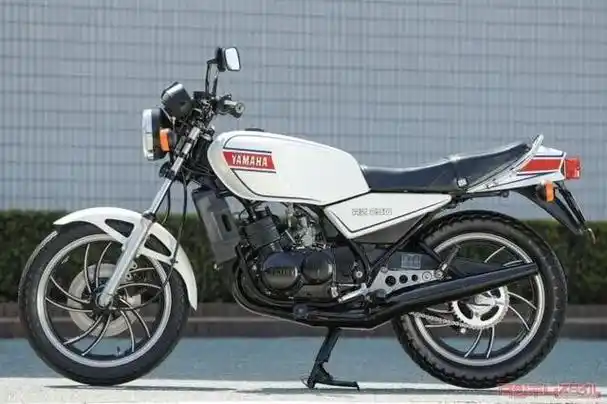 然而,开发团队强烈渴望创造出雅马哈最终的二冲程车型,即充分展示二