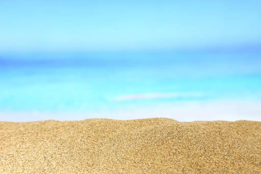 金色的沙滩和大海为背景的特写