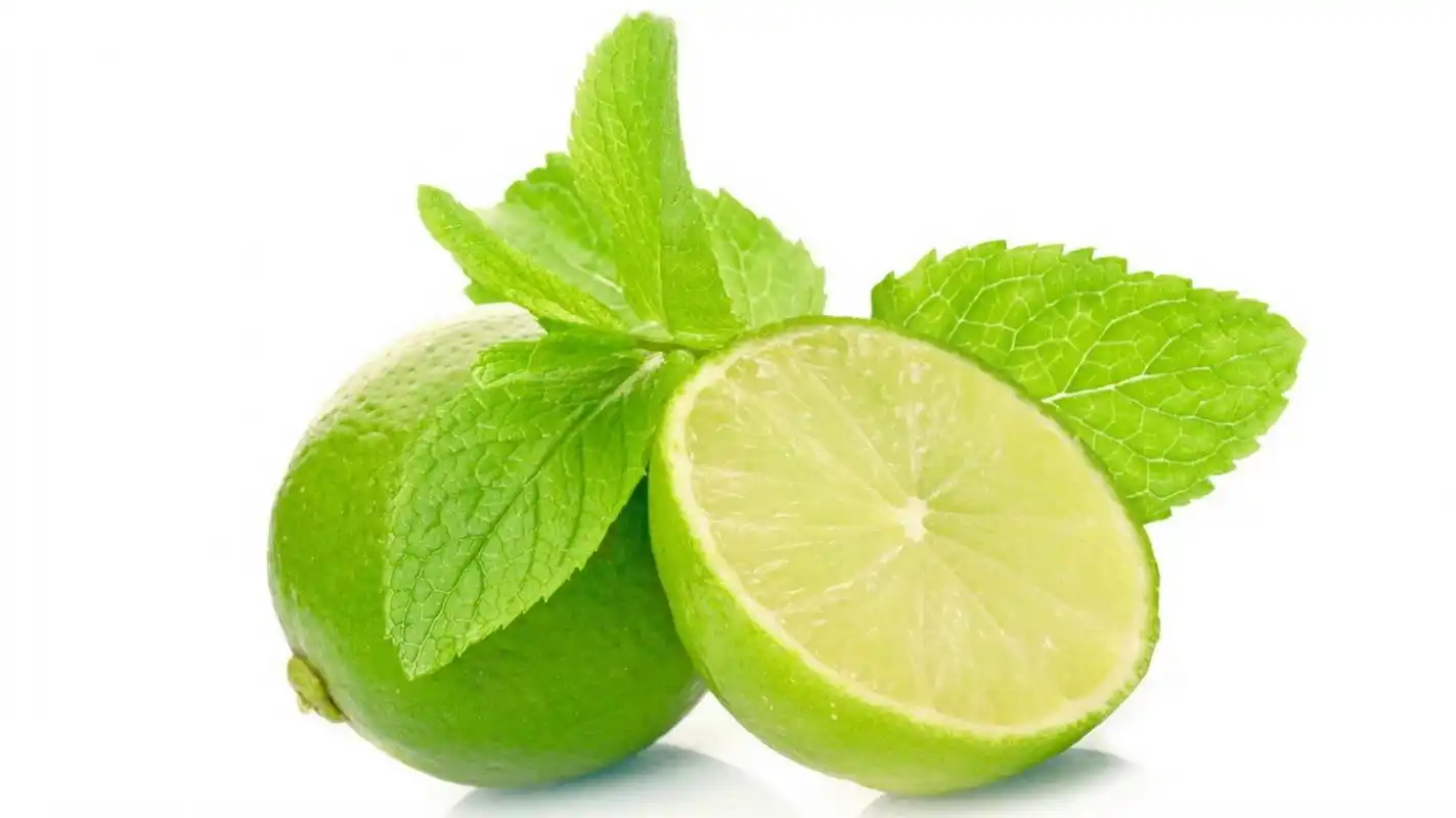 青柠水果图片桌面壁纸下载