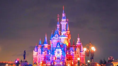 迪士尼游记摄影丨鱼子酱