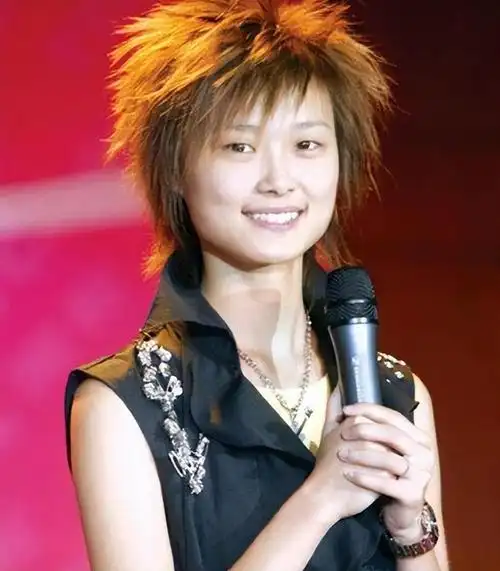 李宇春个人资料简介及照片(李宇春,出道以来争议不断,如今患"不死癌症