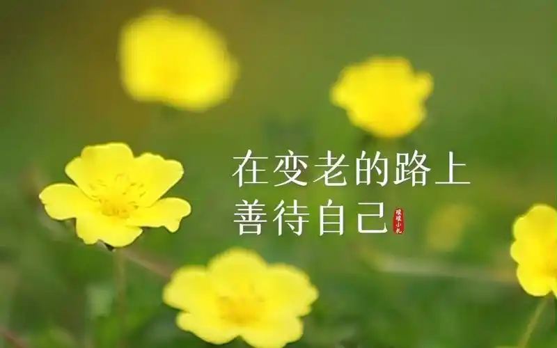 人生苦短,在变老的路上善待自己,离开那个能够左右你情绪的人,凡事