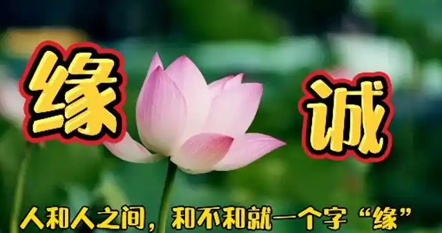 人和人之间,合不合就一个字,"缘"!