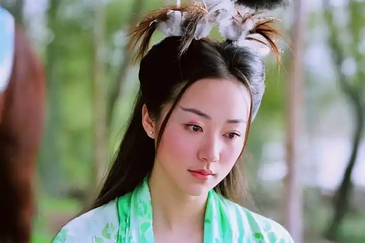 天外飞仙 香雪海