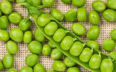 豌豆:《本草纲目》记载,豌豆具有"去黑黯,令面光泽"的功效.