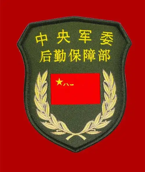 军人21式作业服胸标臂章大全-军友网