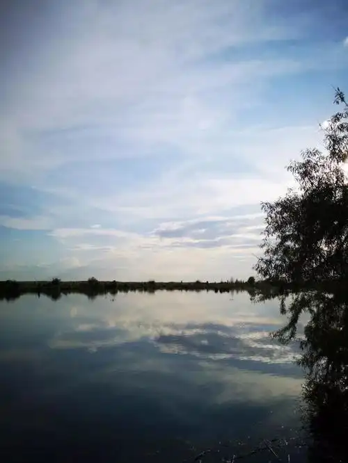 伊犁河湿地——芳草湖掠影