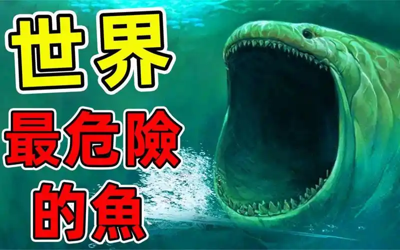 全世界10种最危险的鱼,食人鱼只能排第6,第一名是男人的噩梦.