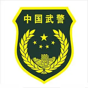 武警最新臂章图片大全