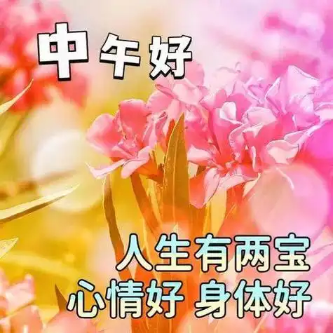 中午好片大全中午好问候中午好祝福祝你幸福快乐平安健康