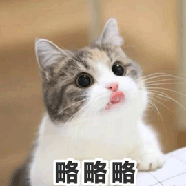 略略略猫撒娇gif动图_动态图_表情包下载_soogif