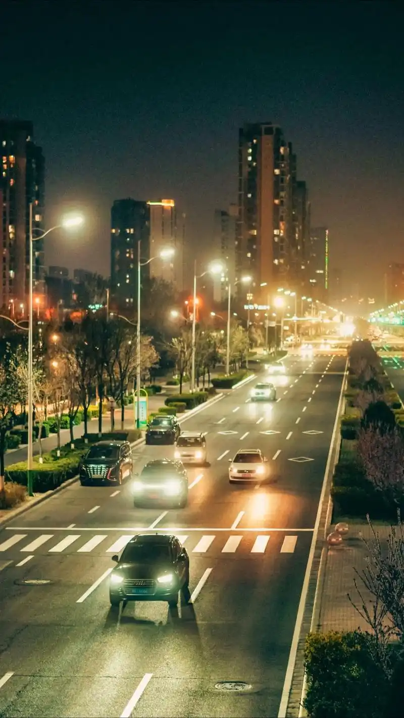 壁纸 夜景 1440_2560 竖版 竖屏 手机