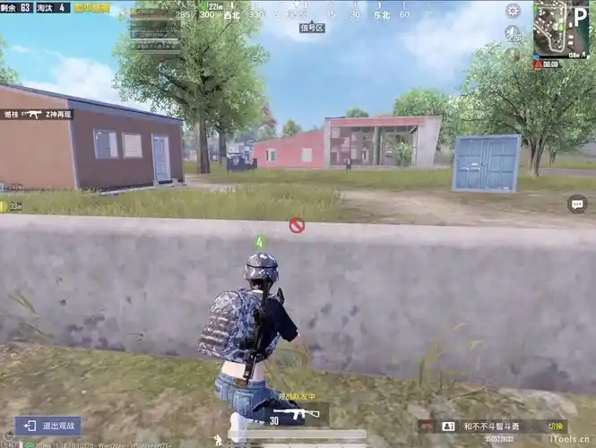 和平精英:帅是我的命脉