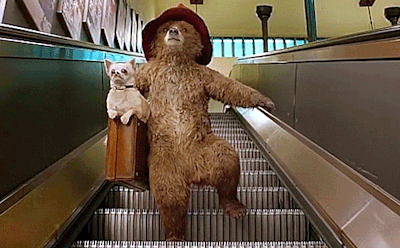 在帕丁顿的车站里,与鸽子们互动的它,默默的感叹着,随手洒着面包屑