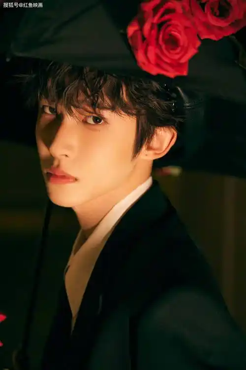 刘宇 玫瑰黑伞王子华丽写真