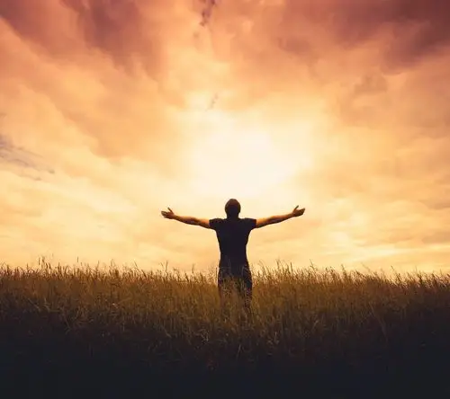 我向往有一双飞翔的翅膀,能带我去到自由的地方.