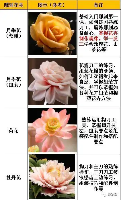 担任周毅食品雕刻系列图书编委,新书副主编,公众号免费视频教程制作