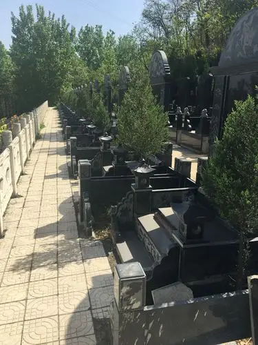 【九龙山墓园】大龙凤碑