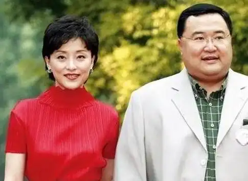 杨澜前夫张一兵(歌手田震病逝)-cosg百科