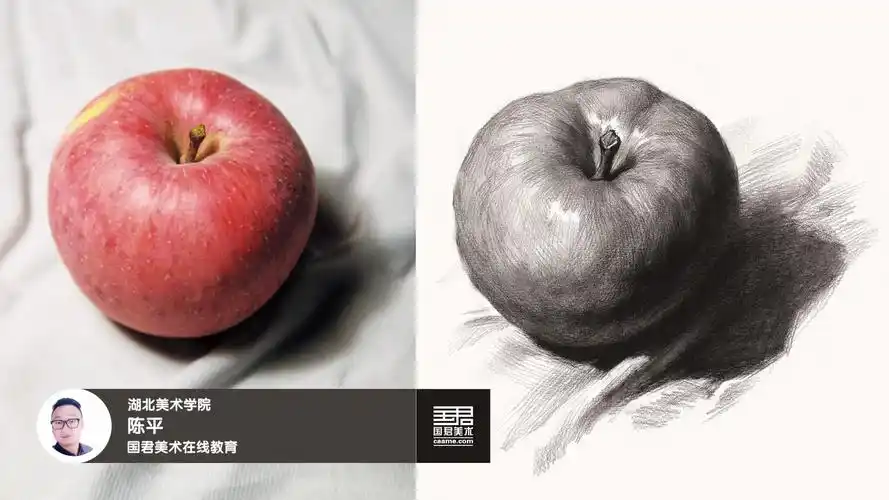 素描静物_单体_苹果_陈平