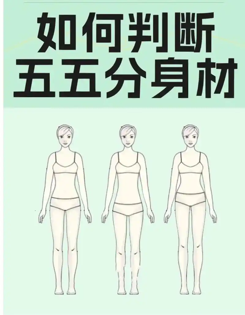 你是腰长腿短的五五分身材吗?